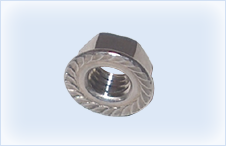 Hex Flange Nuts