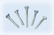 Round Head Square Neck Bolt