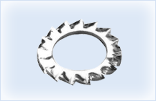 Toothed Lock Washer External
