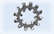 Internal & External Tooth lock Washer