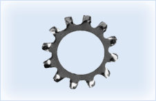 External Serrated Lock Washer
